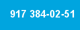 917 384-02-51